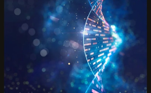 De la recherche au réel : l’ADN se rapproche des disques durs traditionnels