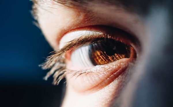Santé des yeux : habitudes quotidiennes, nutrition et dépistage