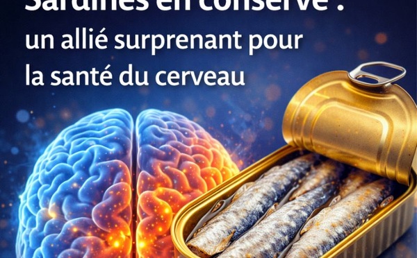 Sardines en conserve : un allié surprenant pour la santé du cerveau