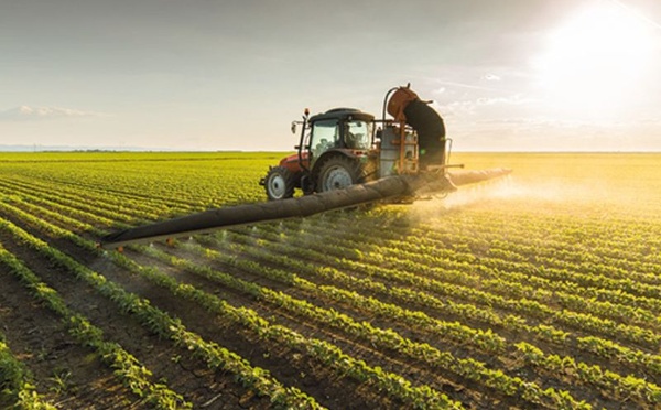 Agriculture de conservation : 1.200 agriculteurs engagés dans un projet pilote 