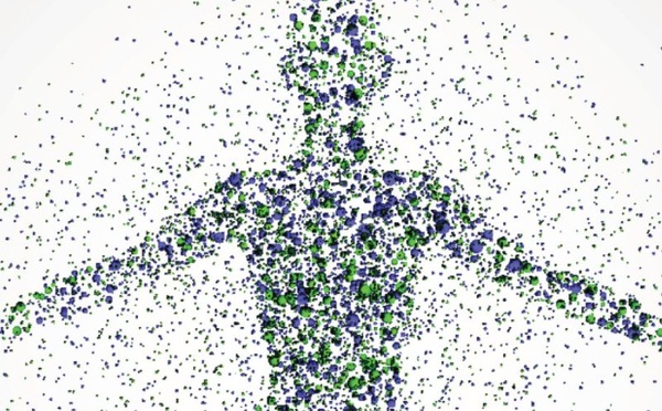Métabolisme : mythe du “rapide ou lent” et vraies clés de la dépense énergétique