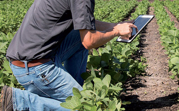 Emploi rural : 40 000 jeunes formés à l'entrepreneuriat agricole au Maroc