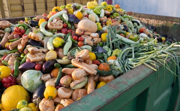 Gaspillage alimentaire : 4,2 millions de tonnes perdues