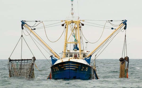 Pêche continentale : le Maroc impose l’immatriculation des embarcations