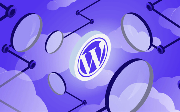DGSSI : des failles critiques dans plusieurs plugins WordPress au Maroc