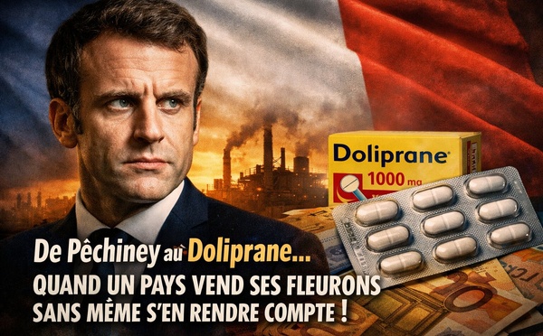 La France.. ​Quand un pays vend ses fleurons sans même s'en rendre compte !