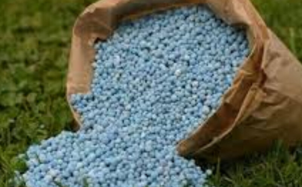 Engrais : le Maroc au cœur de la sécurité alimentaire