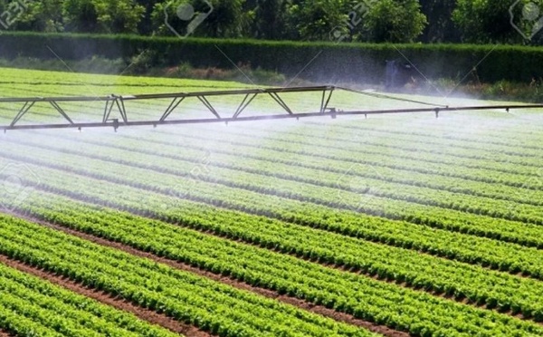 30.000 agriculteurs au cœur d’un modèle d’irrigation durable d’ici 2027