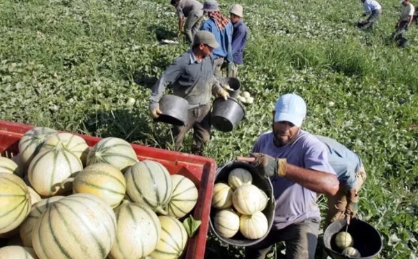 En Corse, une économie sous tension de plus en plus dépendante de la main-d’œuvre marocaine