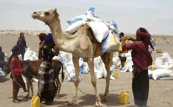 Guerre au Moyen-Orient : la FAO alerte sur un choc alimentaire mondial imminent