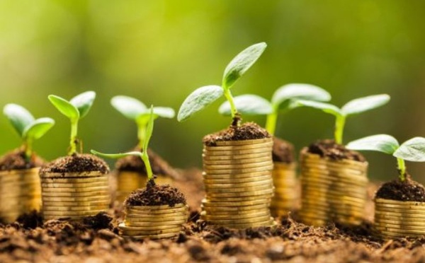 Green Invest Maroc : 31 M€ de la KfW pour financer la transition verte des TPME