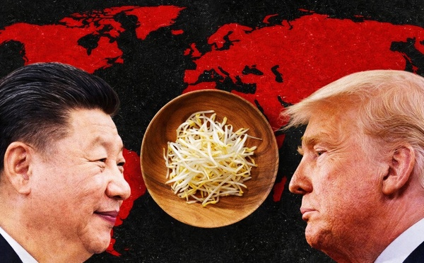 ​La petite graine qui tient le monde en otage ou la géopolitique du soja