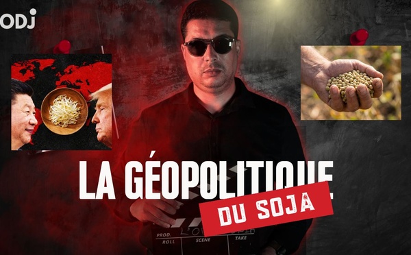 [vidéo] : ​La petite graine qui tient le monde en otage ou la géopolitique du soja