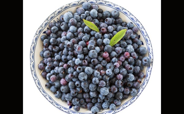 Bleuets sauvages : un super-fruit à faible index glycémique pour le cœur, le microbiote et le cerveau