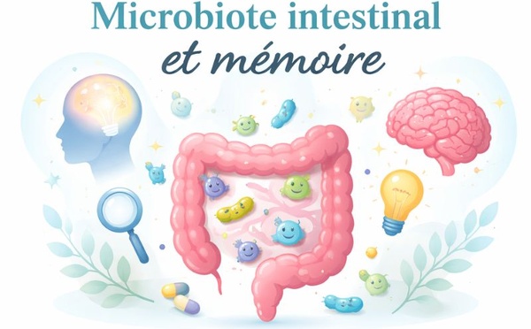 Microbiote intestinal et mémoire