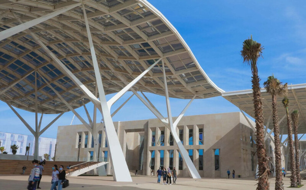 The Pulse : une nouvelle plateforme marocaine pour structurer les données des startups africaines