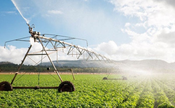 Recherche agricole : l’État mise sur l’innovation pour l’eau et le climat