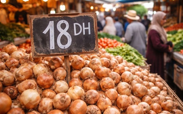 ​L’oignon à 18 DH, le nouveau signal d’alerte sur le pouvoir d’achat au Maroc
