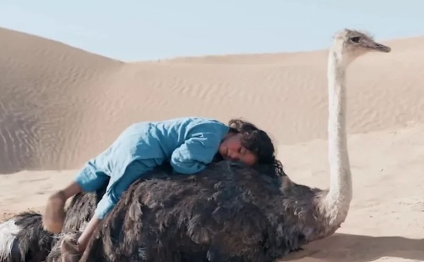« L’Enfant du désert » : première européenne et sortie en salles au Maroc