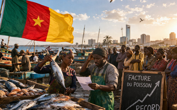 Cameroun : Facture record du poisson
