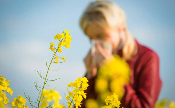 Et si ton intérieur était la vraie cause de tes allergies saisonnières ?