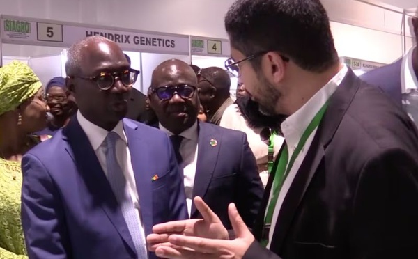 SIAGRO 2026 : l’expertise marocaine au service de l’essor avicole sénégalais