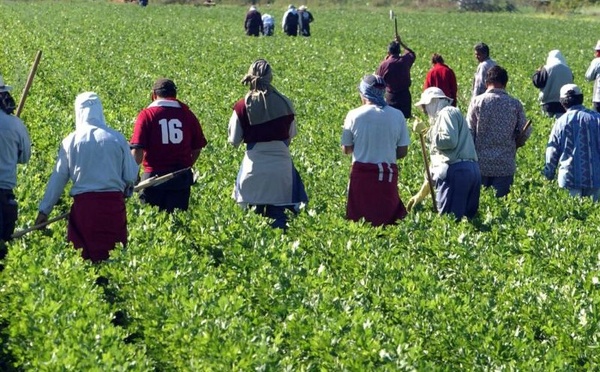Souss-Massa : 10 projets d’agriculture solidaire pour jeunes et femmes rurales