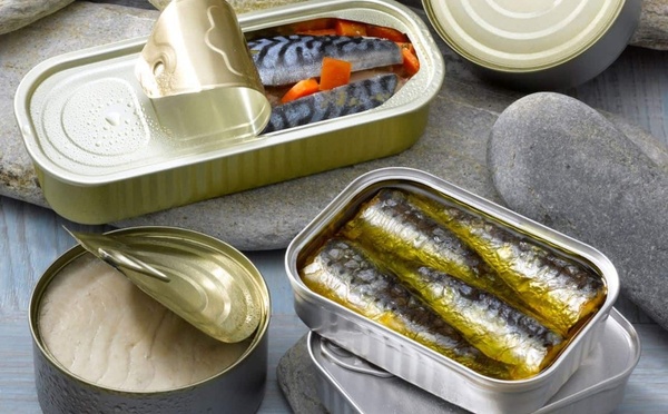 Le “sardine trend” sur TikTok : entre hype nutritionnelle et excès de simplification