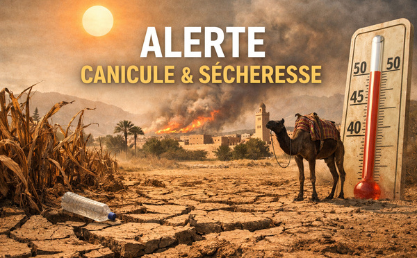 Un été très, très chaud ? El Niño revient avec des records de chaleur en 2026-2027