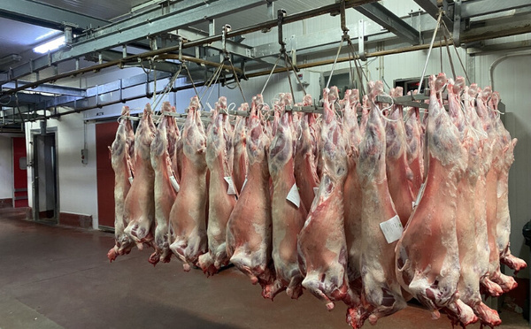 Viande rouge : la flambée avant l’Aïd