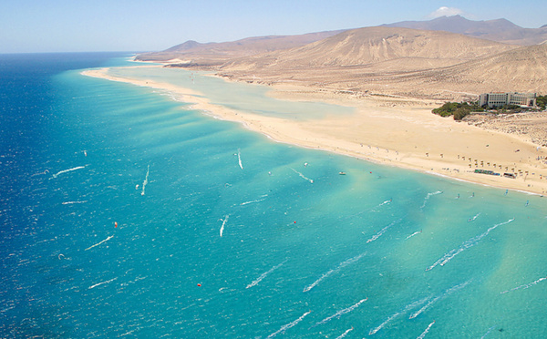 Réchauffement des océans : des poissons tropicaux apparaissent à Dakhla