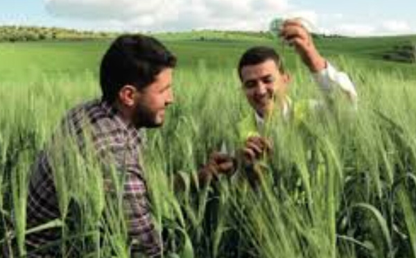 L'OCP réinvente l’agriculture au SIAM