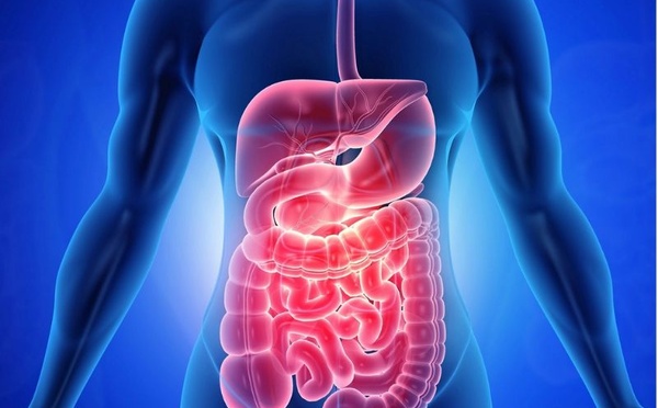 L'impact d'un régime inspiré du jeûne sur les patients atteints de la maladie de Crohn