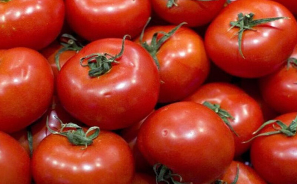 La flambée de la tomate ravive les tensions sur le panier alimentaire