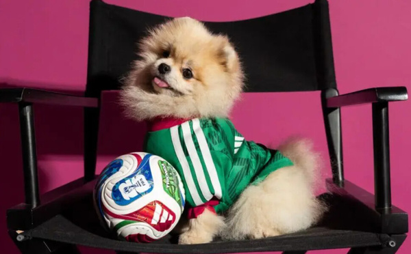 Mondial 2026 : Adidas met les chiens et chats dans le match