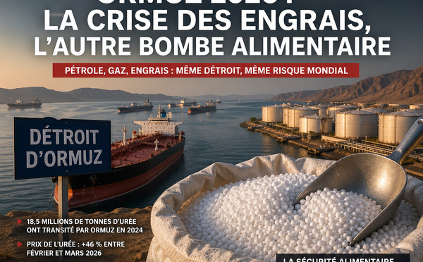 Ormuz 2026 : la crise des engrais, l’autre bombe alimentaire