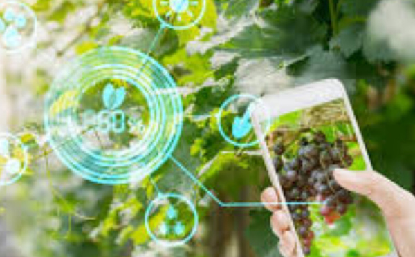 Génération Green entre dans l’ère digitale