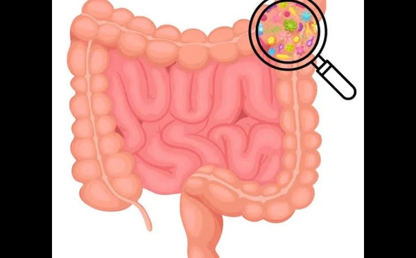 Le microbiome intestinal : une piste prometteuse pour la détection précoce de la maladie de Parkinson