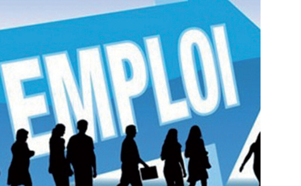Entrepreneuriat : la plateforme DirectEntreprise franchit le cap des 50.000 créations.