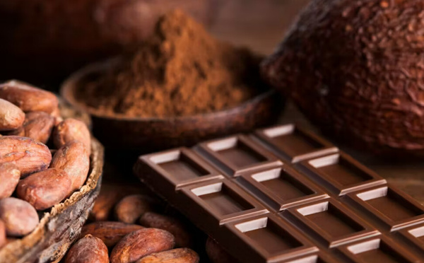 Chocolat au lait et cholestérol : pourquoi le chocolat noir reste le meilleur choix