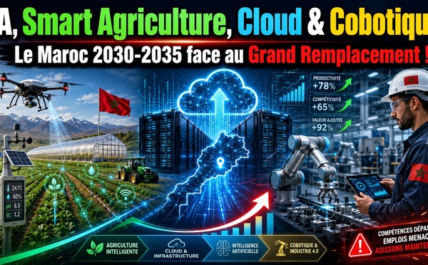 AI, Smart Agriculture, Cloud &amp; Cobotique : Le Maroc 2030 -2035 face au Grand Remplacement !