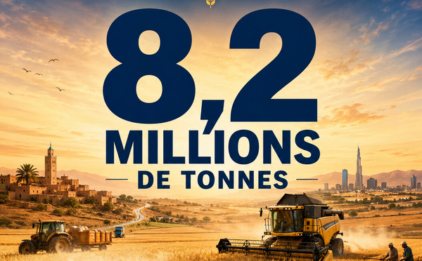 8,2 millions de tonnes — Le retour du blé marocain
