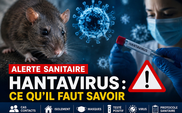 Hantavirus : pourquoi le retour des mots « cas contacts », « isolement » et « masques » ne signifie pas un nouveau Covid