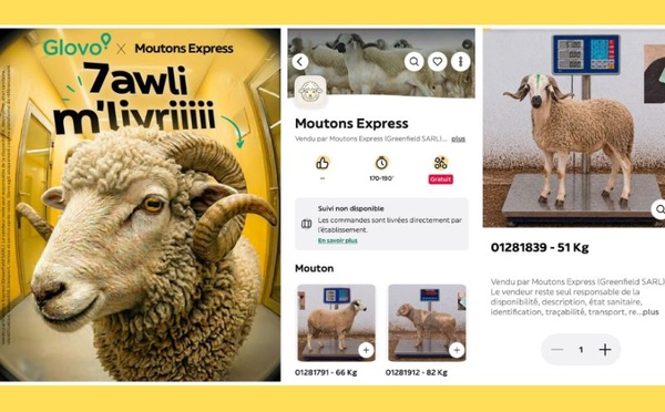 Glovo Maroc lance un service de livraison de moutons pour l’Aïd Al-Adha via son application