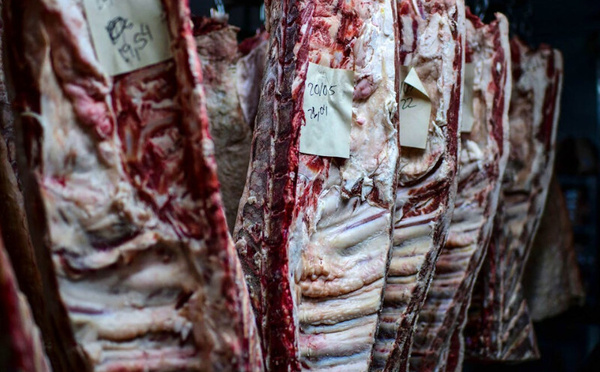 Viande brésilienne interdite en Europe : menace ou opportunité pour le Maroc ?