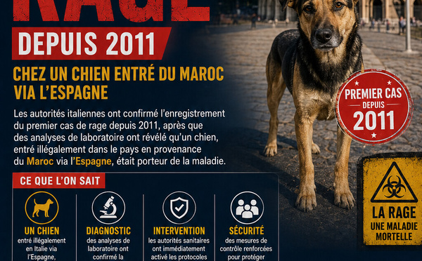 L’Italie enregistre son premier cas de rage depuis 2011 chez un chien entré du Maroc via l’Espagne. 