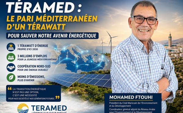 ​Téramed : le pari méditerranéen d’un térawatt pour sauver notre avenir énergétique