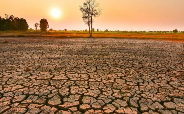 El Niño fait son retour : un épisode potentiellement parmi les plus puissants jamais observés