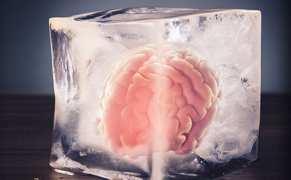 Une start‑up américaine affirme avoir réussi à préserver la structure du cerveau après la mort