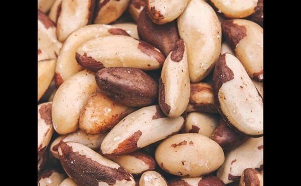 Le noix du Brésil, un allié naturel pour la santé de la thyroïde